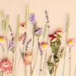Load image into Gallery viewer, Letterbox Wildflowers