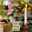 Load image into Gallery viewer, Tapered Natural-Wax Candle Sticks