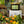 Load image into Gallery viewer, Flora&#39;s Florist Coconut &amp; Rapeseed Wax Candle
