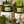 Load image into Gallery viewer, Flora&#39;s Florist Coconut &amp; Rapeseed Wax Candle
