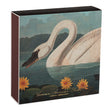 Load image into Gallery viewer, Luxury Matches - The Common American Swan