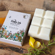 Load image into Gallery viewer, Renaissance Man Soy Wax Melts