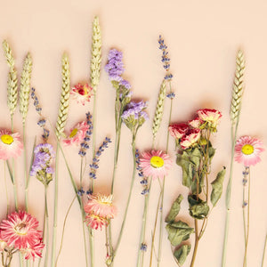 Letterbox Wildflower Bouquet