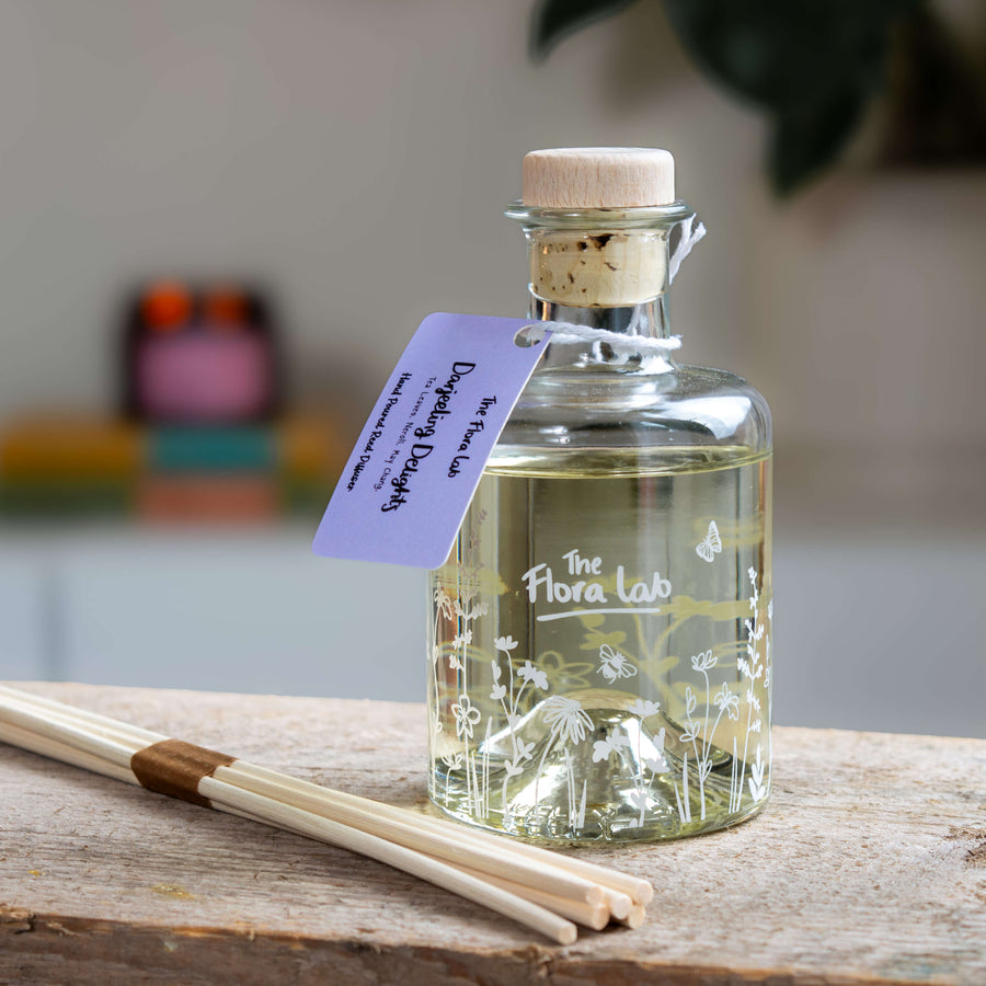 Everlasting Refillable Reed Diffuser