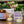 Load image into Gallery viewer, Darjeeling Delights Soy Wax Candle
