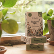 Load image into Gallery viewer, Citrus wax melts with olive leaf and cedarwood in a compostable botanical box, a plant-based wax melt bar by The Flora Lab
