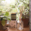 Load image into Gallery viewer, Renaissance Man Scented Candle
