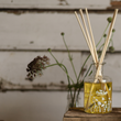 Load image into Gallery viewer, Everlasting Refillable Reed Diffuser
