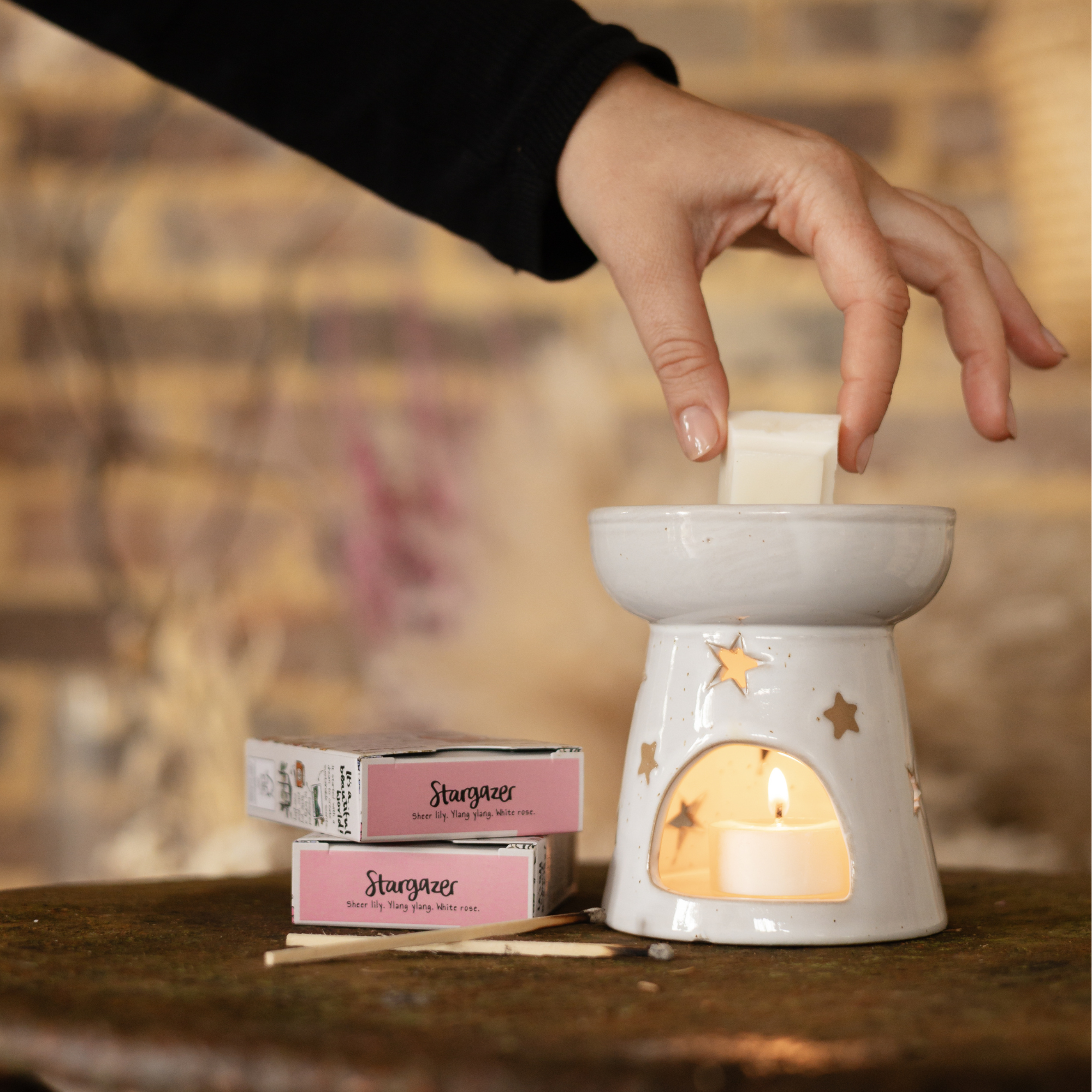 the-ultimate-botanical-wax-melt-gift-box