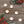 Load image into Gallery viewer, Christmas Scented Tea Lights 
