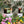 Load image into Gallery viewer, Flora&#39;s Florist Scented Natural Wax Candle
