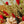 Load image into Gallery viewer, Christmas Dried Wildflower Decor
