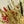 Load image into Gallery viewer, Christmas Wildflowers
