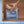 Load image into Gallery viewer, Close-up of Harth hot chocolate tin showing plastic-free sustainable packaging and organic ingredients
