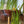 Load and play video in Gallery viewer, Natural-Wax Candle Sticks
