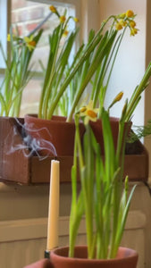 Natural-Wax Candle Sticks