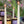 Load and play video in Gallery viewer, Tapered Natural-Wax Dinners Candles

