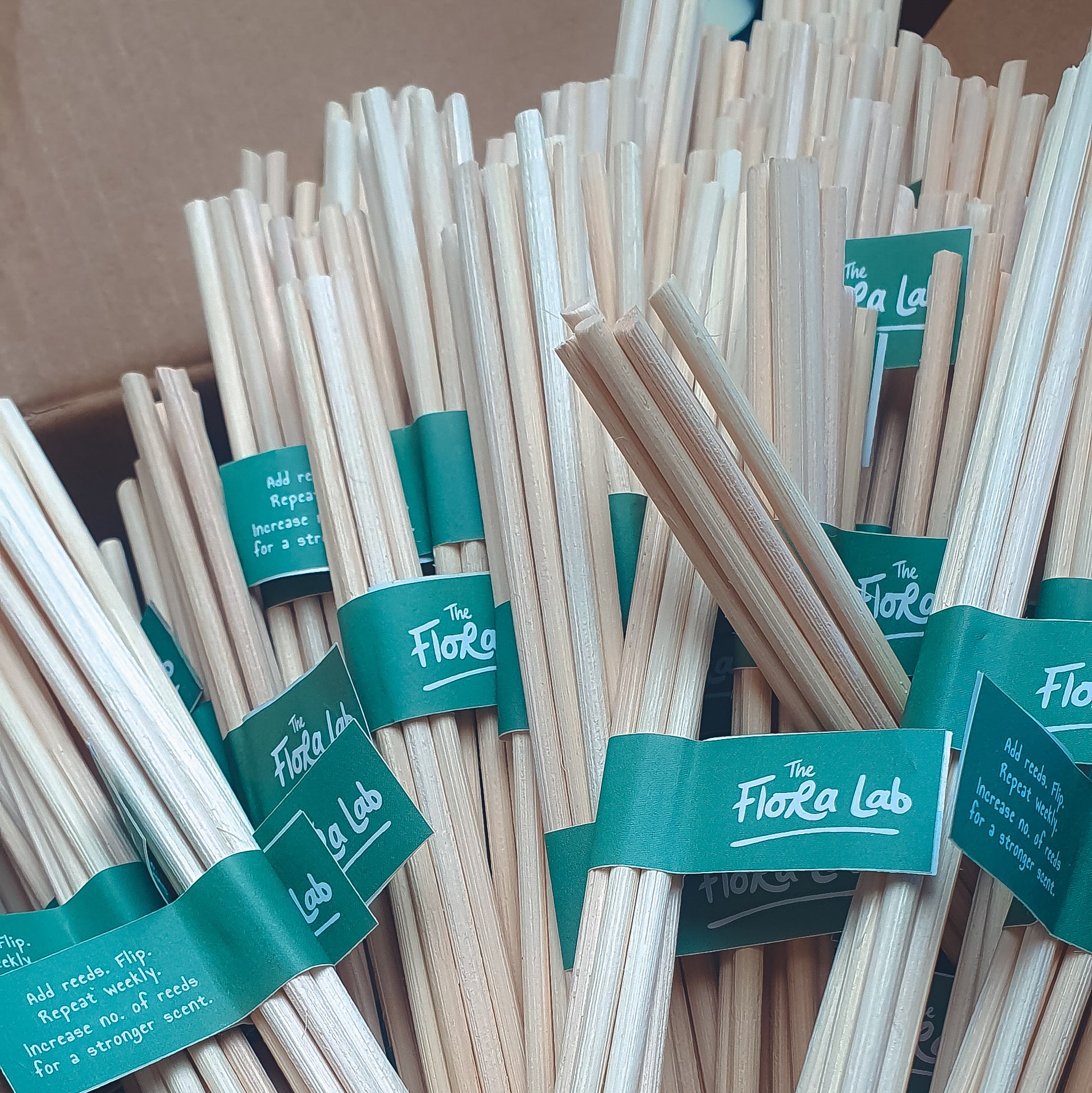 natural-rattan-reeds