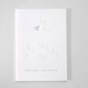 New Baby Special Delivery Blue Letterpress Greeting Card