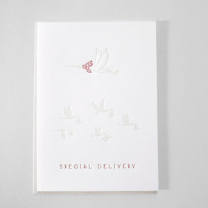 New Baby Special Delivery Pink Letterpress Greeting Card