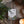 Load image into Gallery viewer, Winter&#39;s Night Botanical Wax Melt Bar
